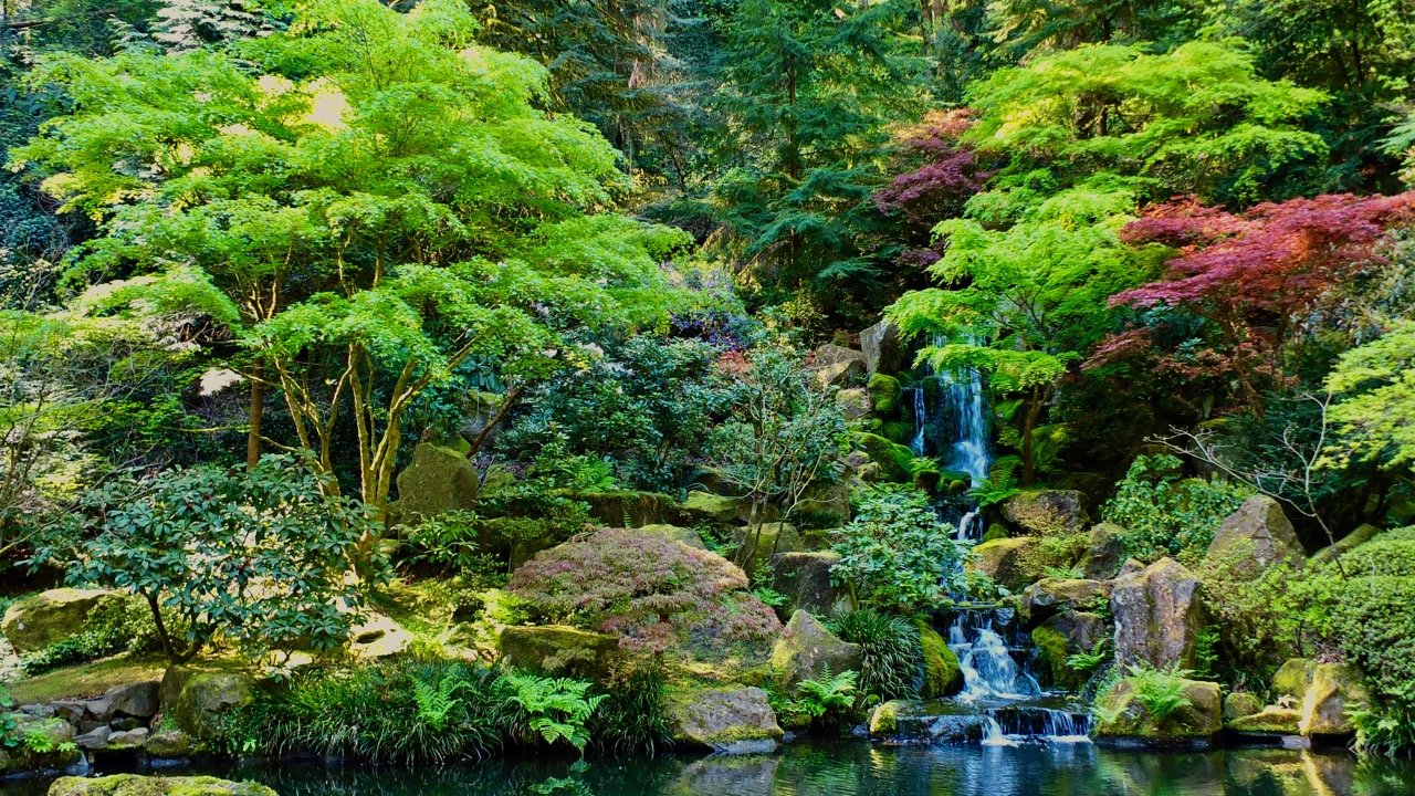 The Enchanted Garden